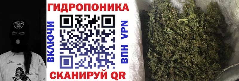 Марихуана сатива  цены   Обнинск 
